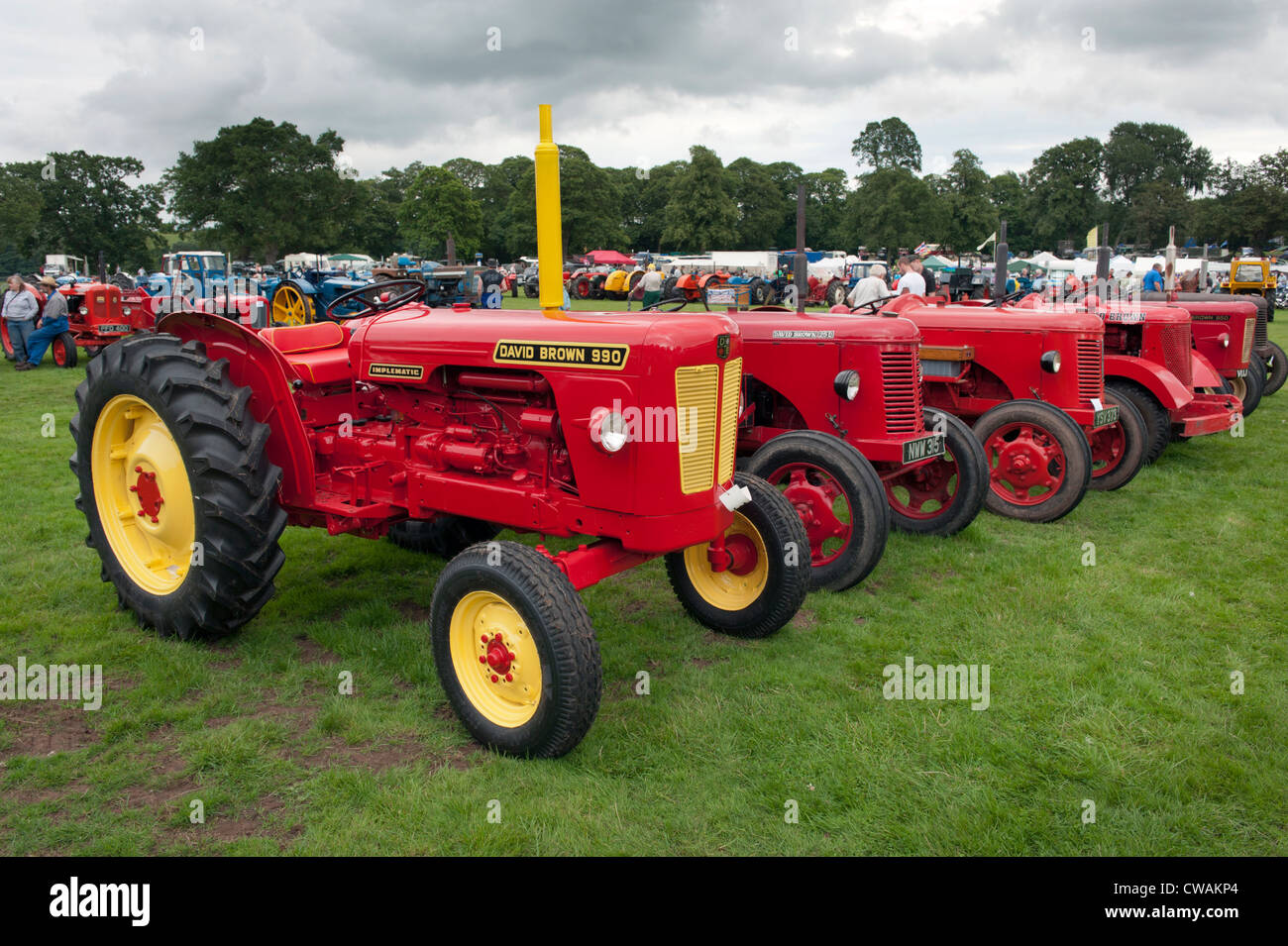 Line up of old David Brown tractors at vintage machinery country show, Newport, Shropshire Stock Photo