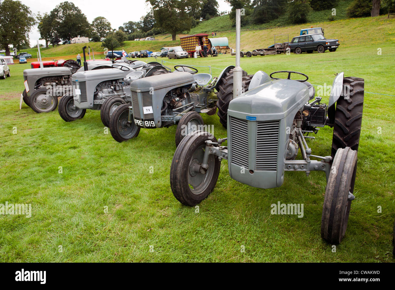 Line up of old Ferguson tractors at vintage machinery country show, Newport, Shropshire Stock Photo