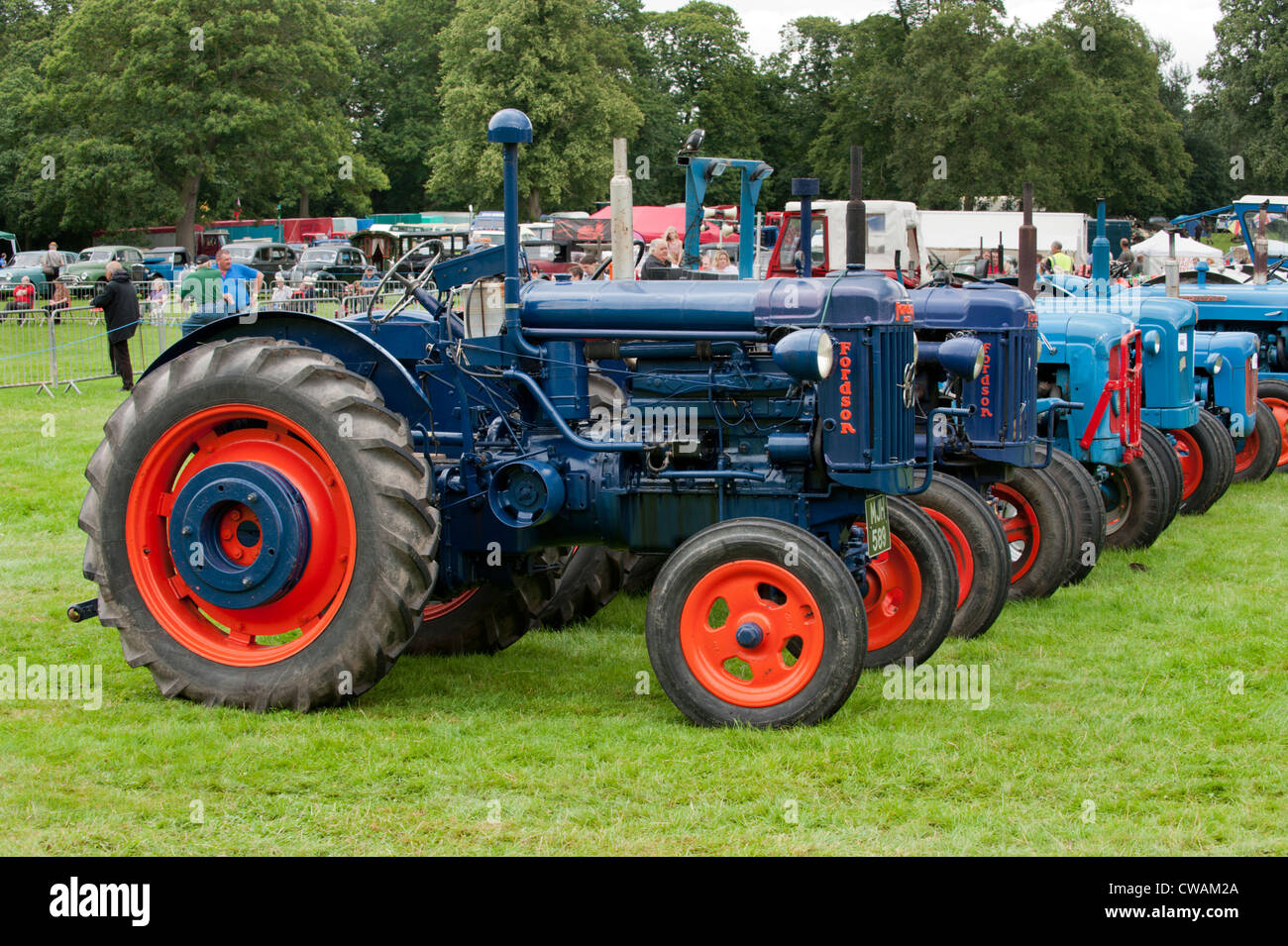 Line up of Fordson tractors at vintage machinery country show, Newport, Shropshire Stock Photo