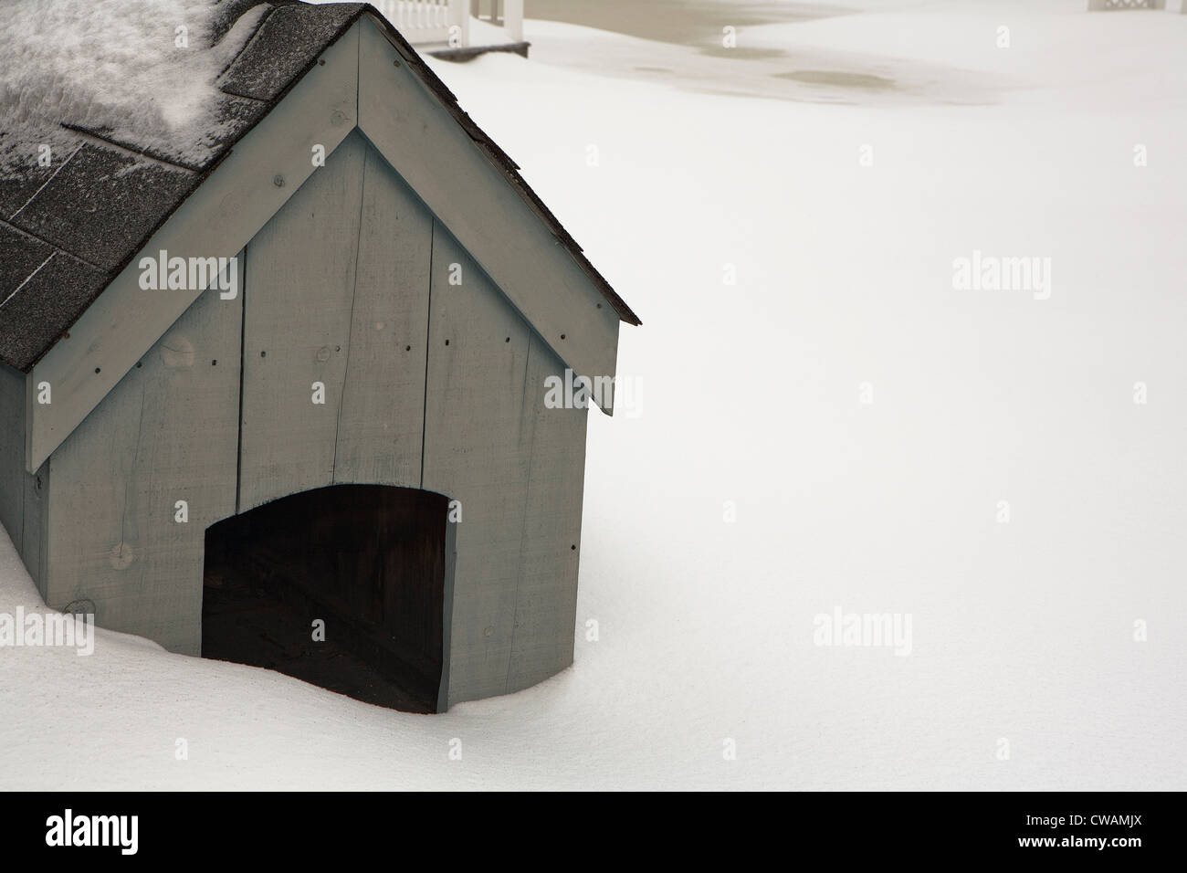 Dog kennel in snow Stock Photo - Alamy