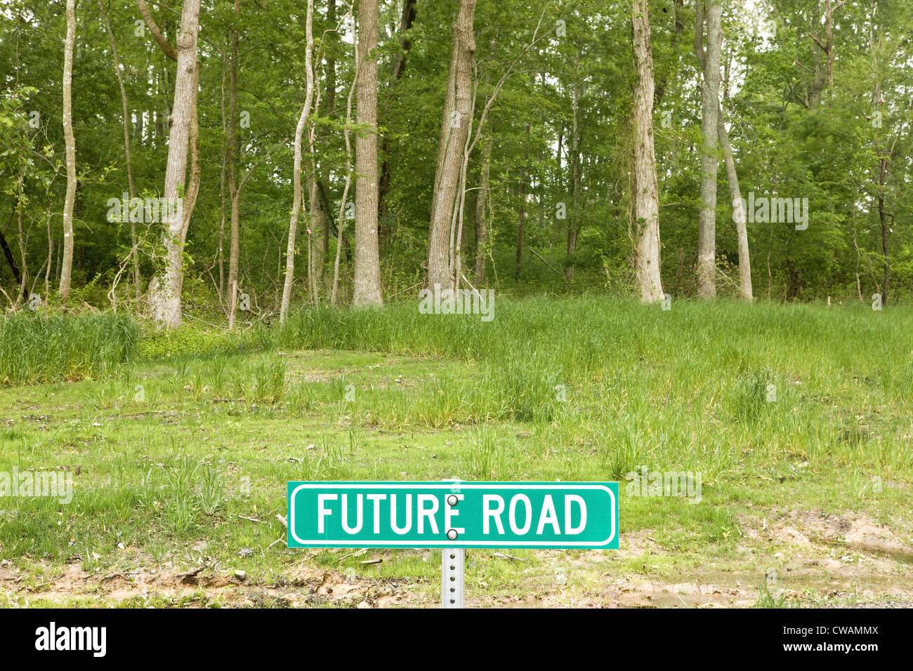 Road sign saying future road in forest Stock Photo