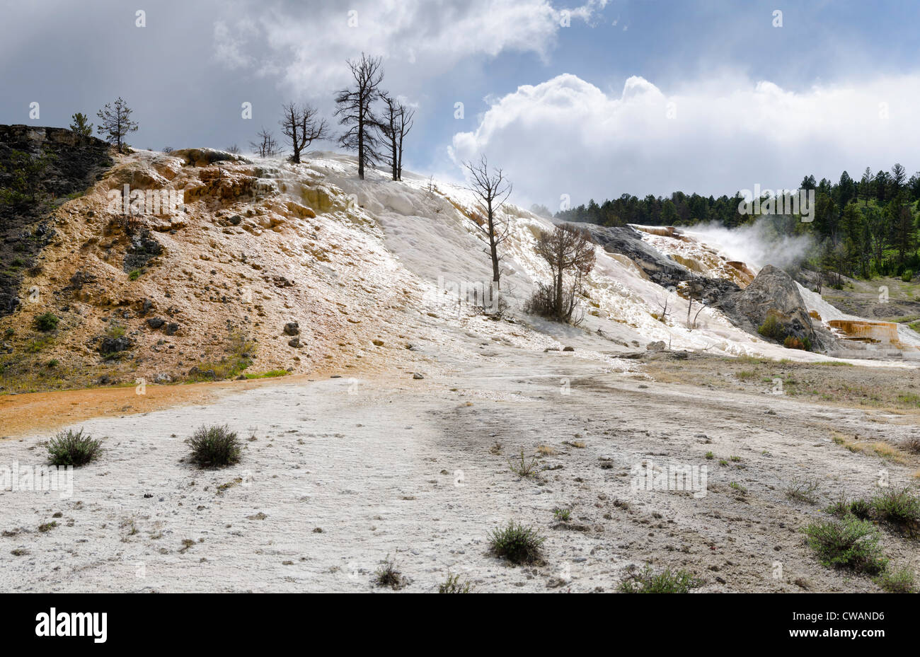 overview of Mammoth Hot Springs in Yellowstone National Park in Wyoming