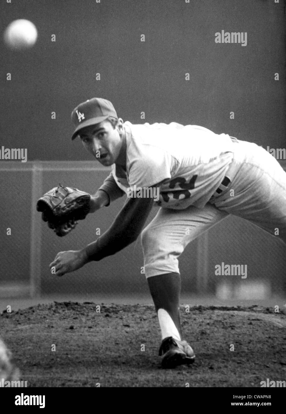 L.A. Dodgers pitcher SANDY KOUFAX, 1965. Courtesy: CSU Archives