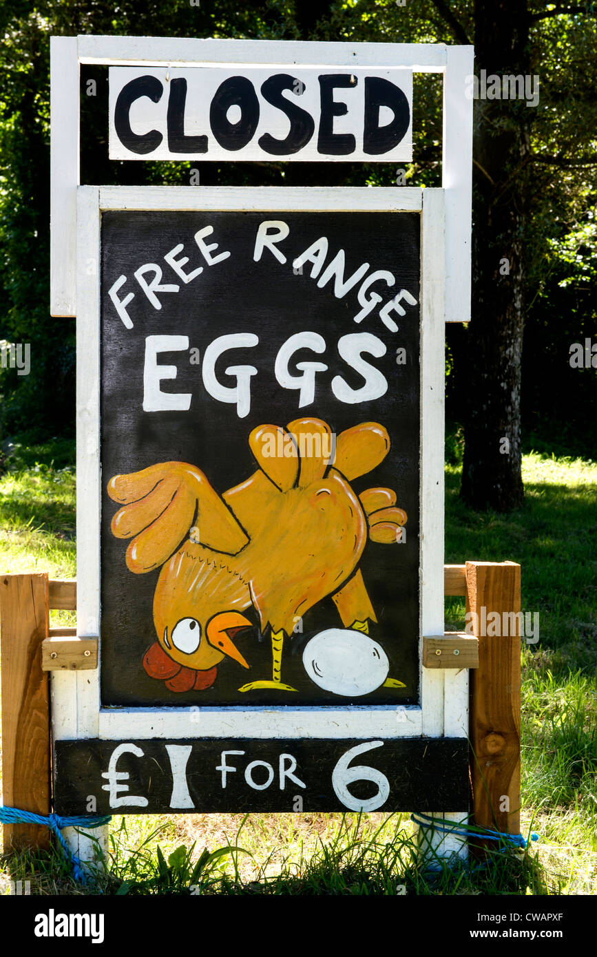 Chicken Eggs For Sale Sign