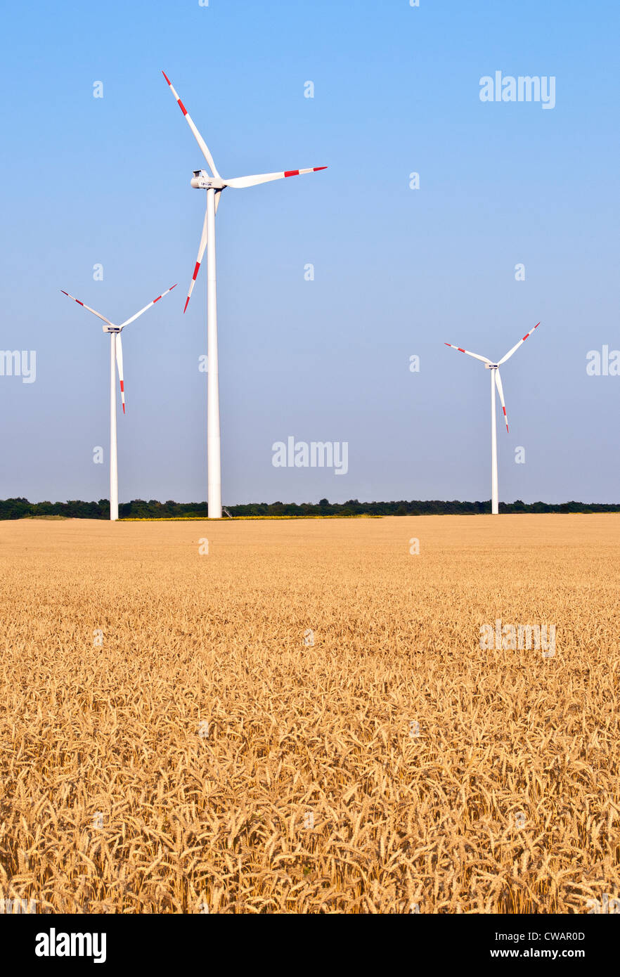 Wind turbines farm in a wheat field Stock Photo