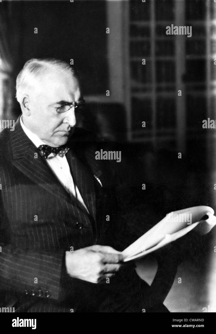Warren G. Harding, 29th President of the United States (1921-1923). Photo dated 1921, Washington, D.C.. Courtesy: CSU Archives Stock Photo