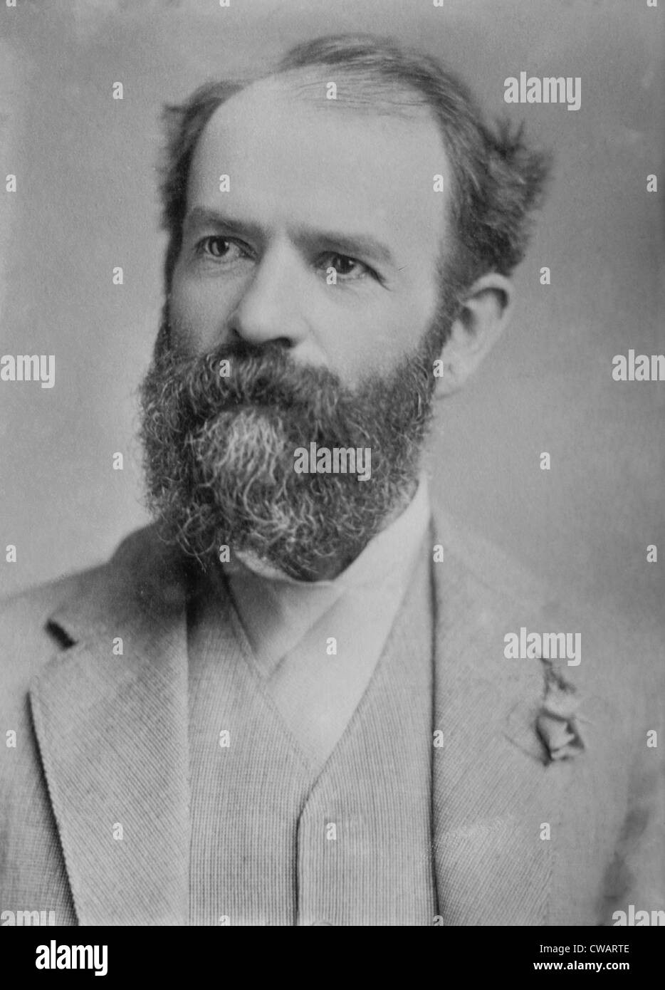 Jay Gould (1835-1892), American financier, and the most ruthless of the 'robber barons.'  He used stock purchases to take Stock Photo