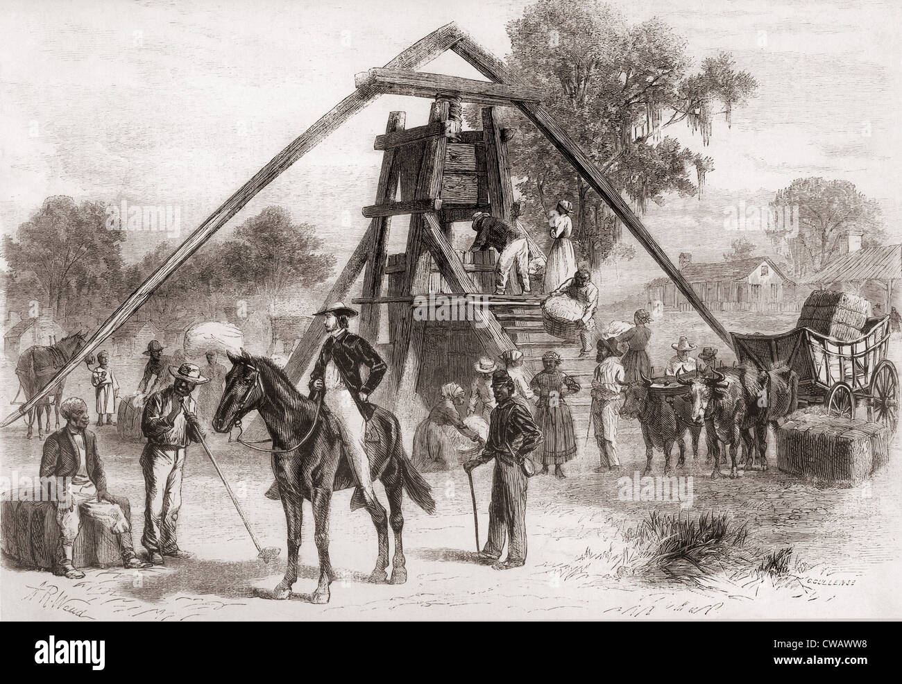 Cotton press in operation in the South after the U.S. Civil War. The machine had a large vertical screw turned by horses or Stock Photo