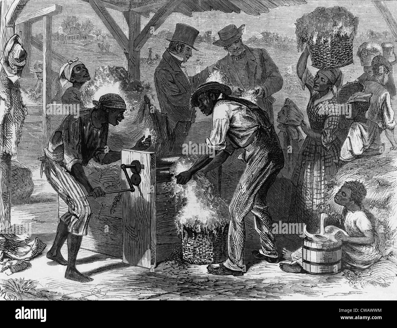 African American slaves using a cotton gin.  Working by hand, one person could remove seeds from only 2 pounds of cotton a day, Stock Photo