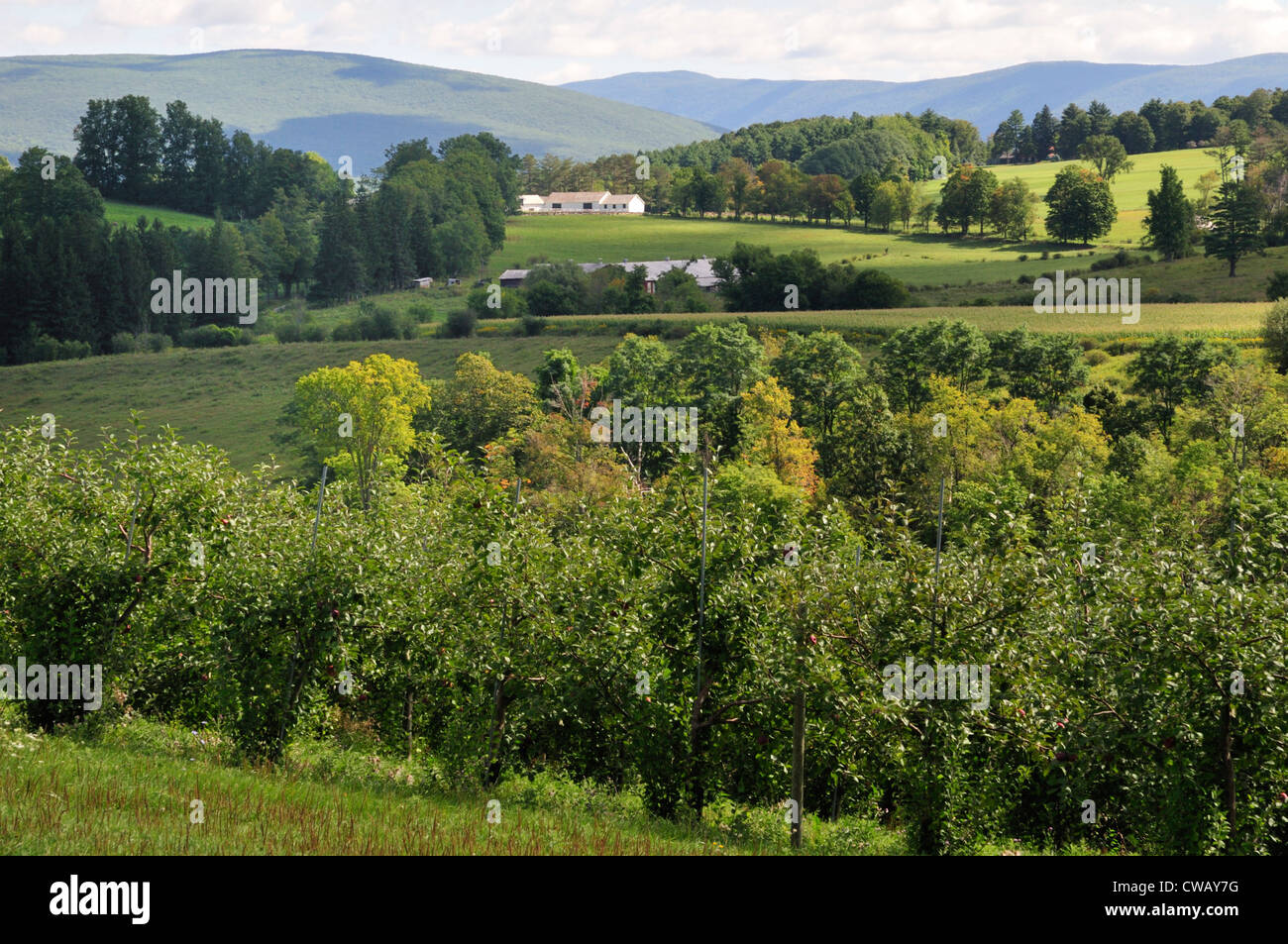 Green fields and hills of the Berkshires in Massachusetts Stock Photo