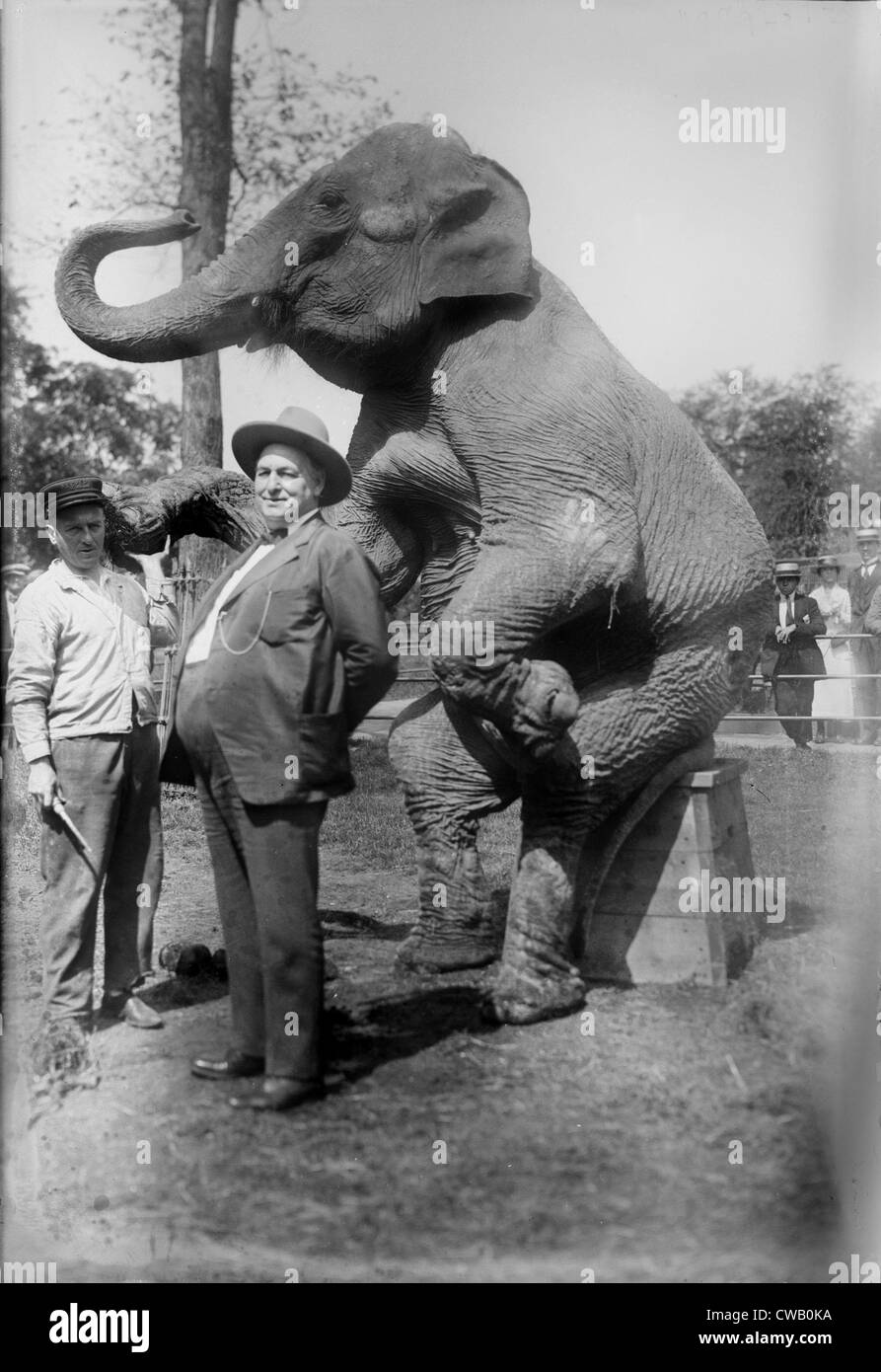 Stewart (right), and elephant, circa early 1900s. Stock Photo