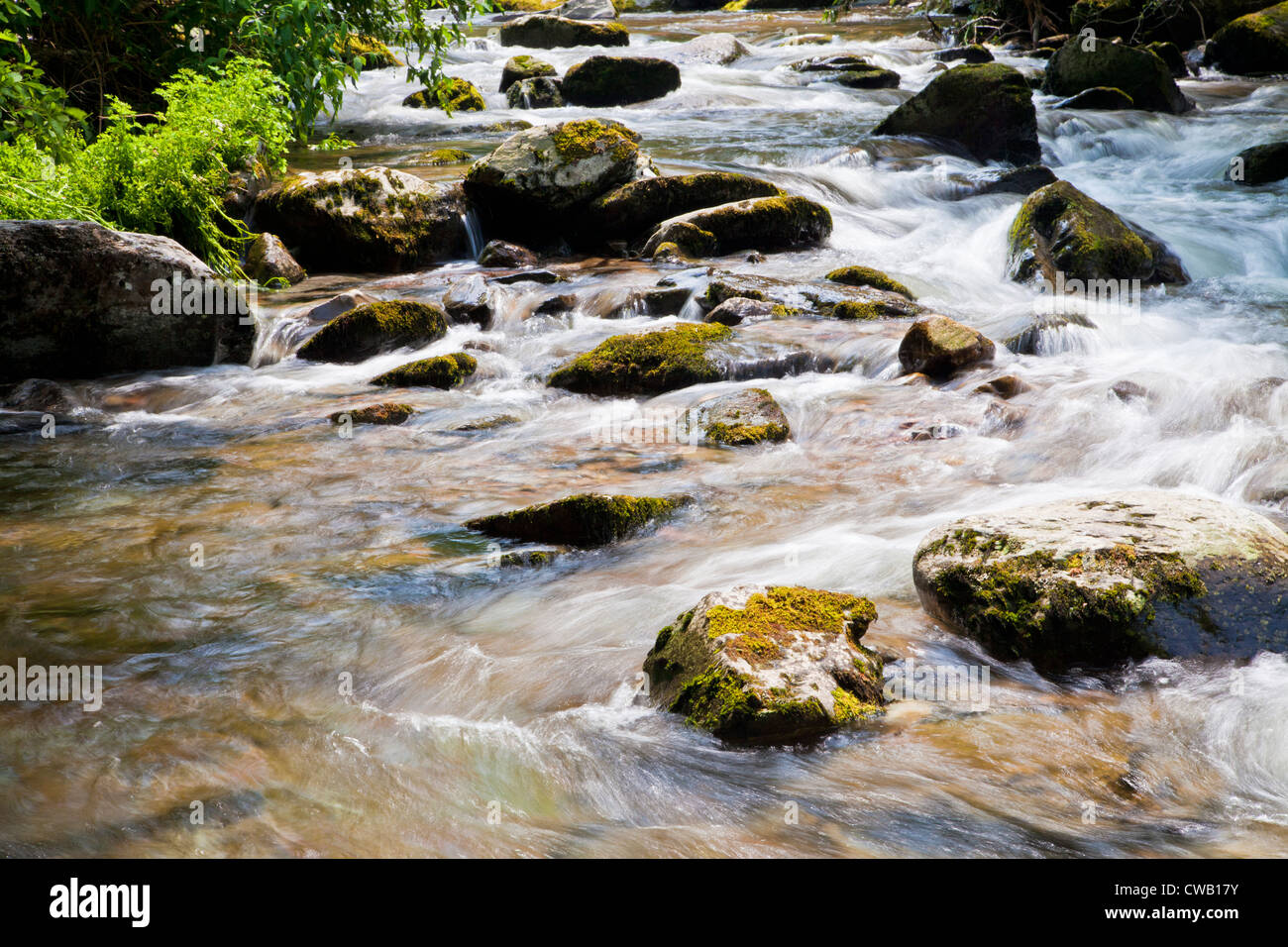 Gurgling stream rushing down a remote gorge in Euboea island, Greece Stock  Photo - Alamy