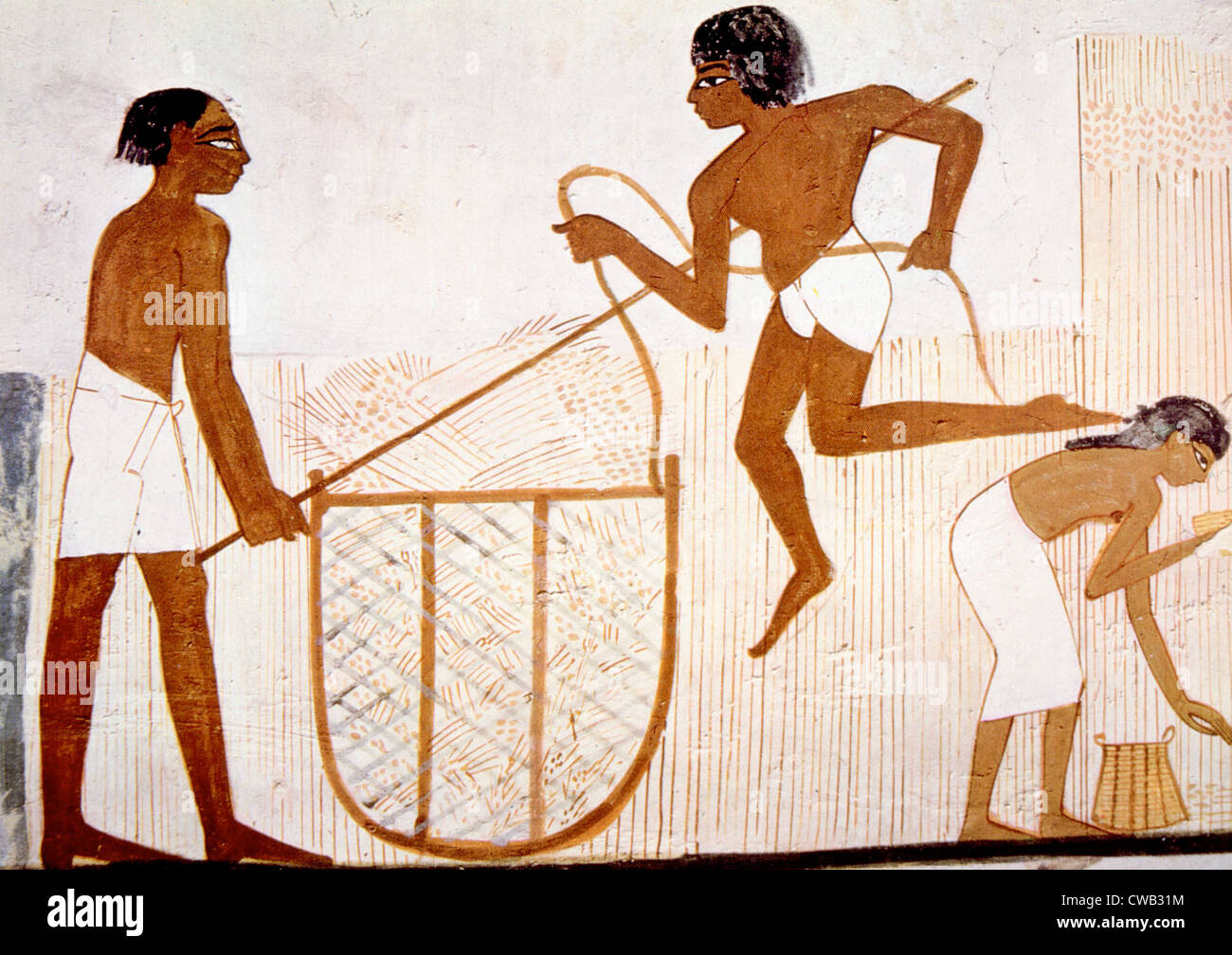 Painting of farmers harvesting wheat from the tomb of Nahkt, Thebes, Egypt Stock Photo