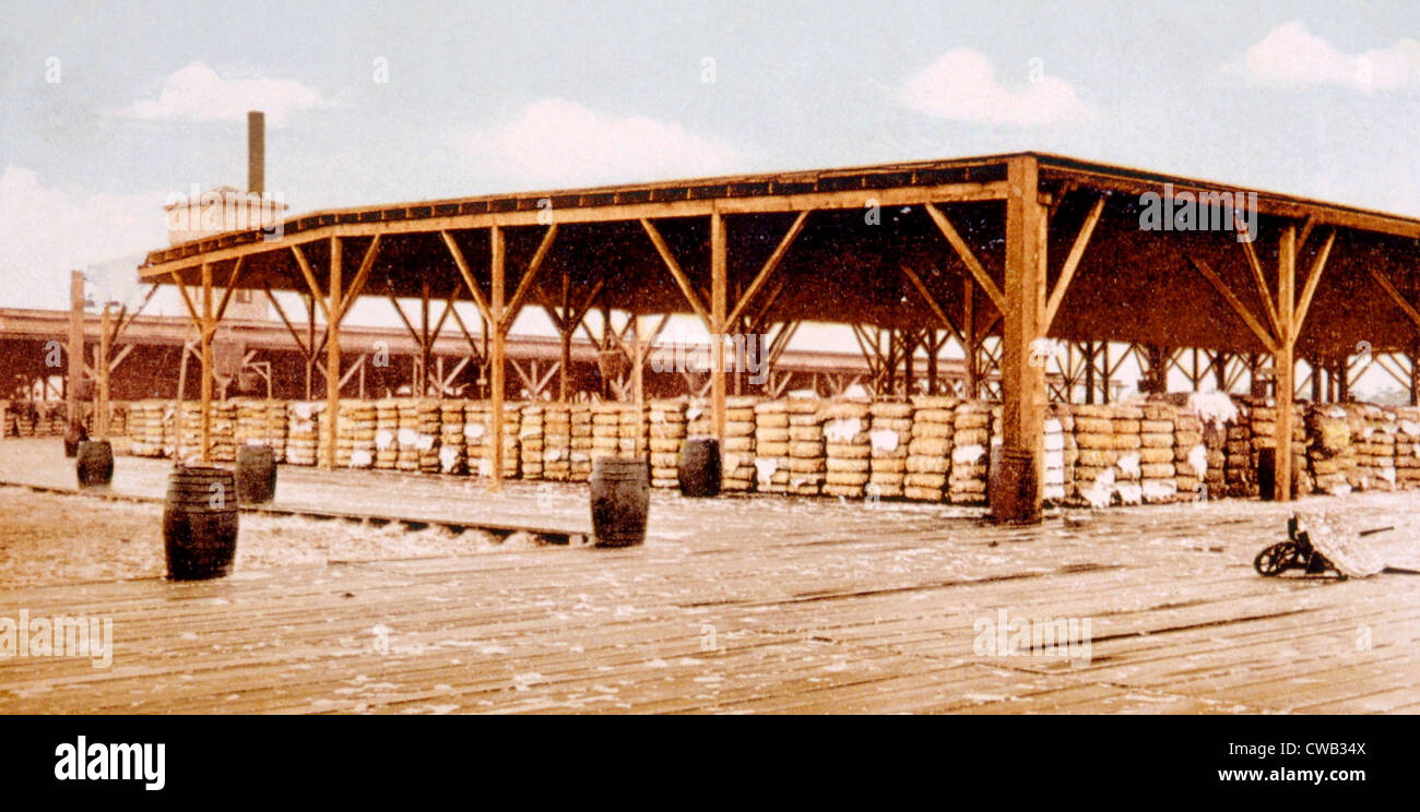 Cotton bales for export on the docks of New Orleans, Louisiana, 1906