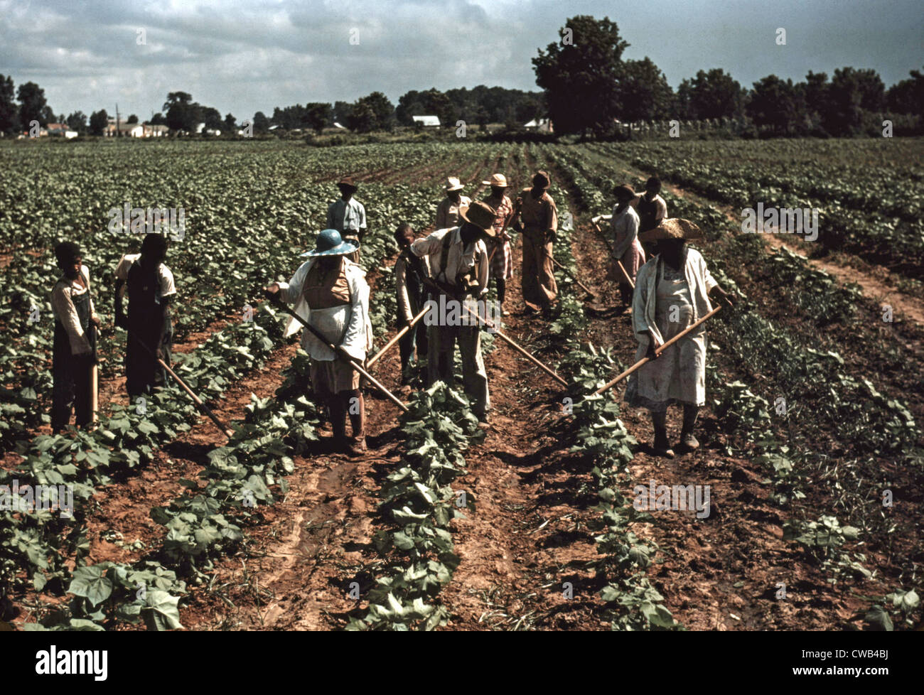 Sharecroppers at Bayou Bourbeau plantation, a cooperative established through the cooperation of FSA, Natchitoches, La, Stock Photo