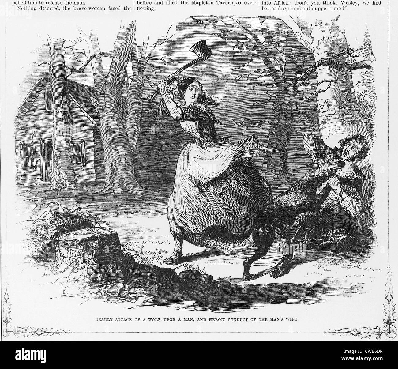 Deadly attack of a wolf upon a man, and heroic conduct of the man's wife. Woodcut ca 1867 Stock Photo