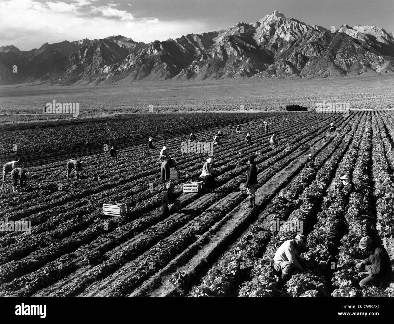 World War II, Bird's-eye view of Manzanar Relocation Center, showing farm workers in the fields, Mt. Williamson in background. Stock Photo