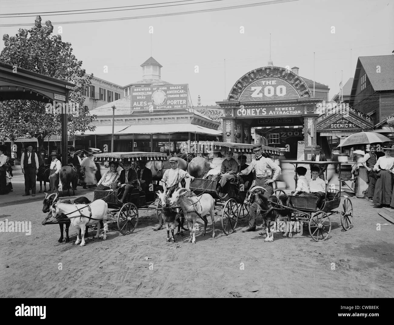 The Goat carriages in dront of the zoo, Coney Island, New York, N.Y. 1900-1910 Stock Photo