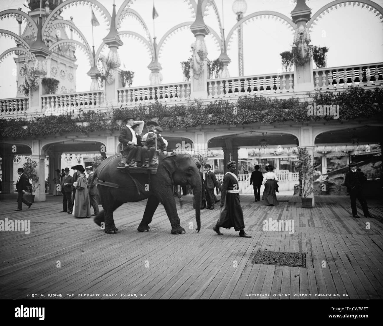 Riding an elephant in Coney Island, New York City, 1905 Stock Photo