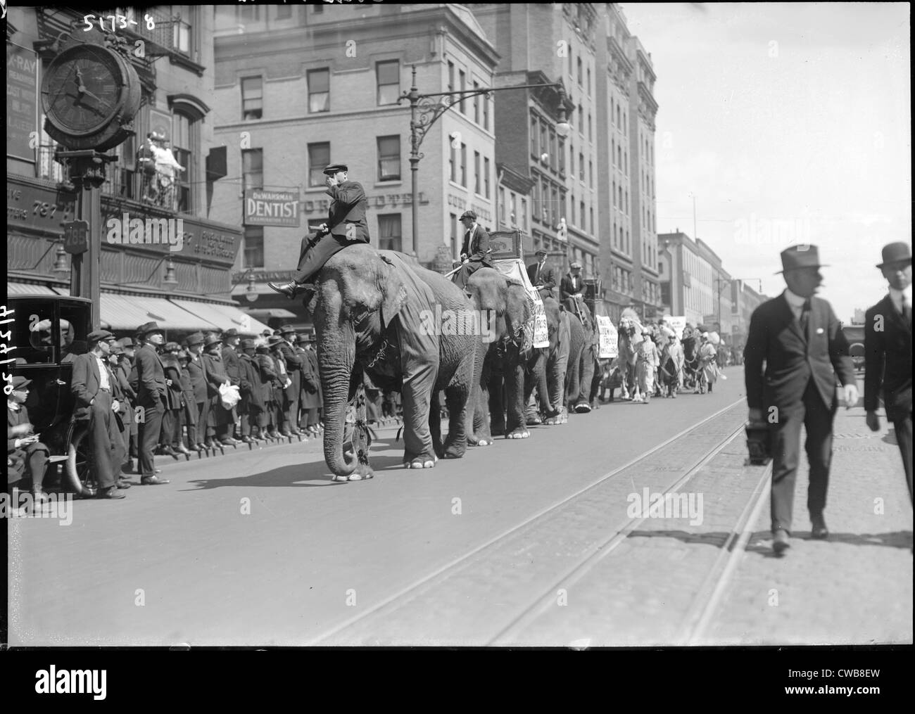 Overalls "Circus Parade" . Riding elephants in Coney Island, New York City, 1900-1910 Stock Photo