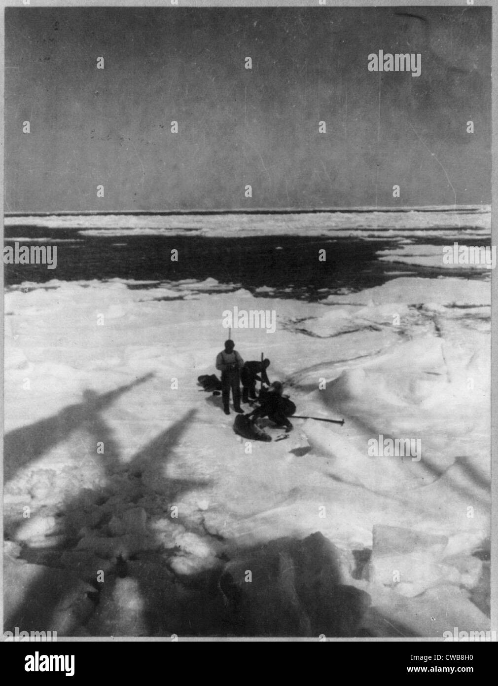 Discovery and exploration of the South Pole by Capt. Roald Amundsen and crew. Shown: members of the expedition capturing seals, Stock Photo
