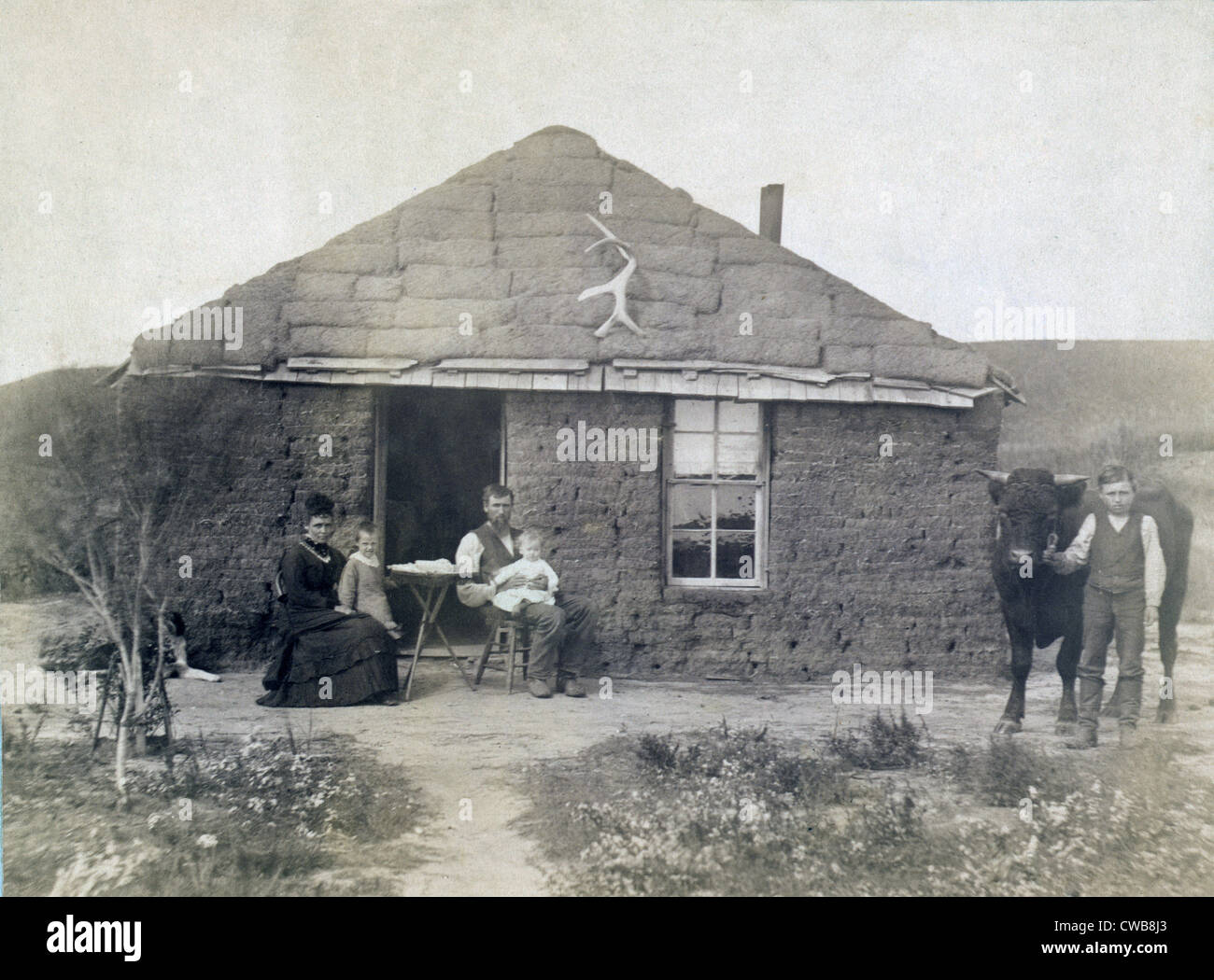 Rural life in Nebraska. The Laulerman family in front of their sod house, with boy holding bull on the right. 1886 Stock Photo