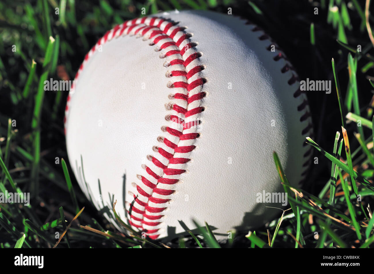 Baseball rests in the grass by the pitching mound. USA. Stock Photo