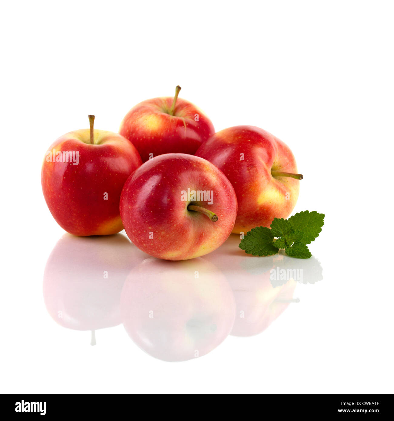 apples on reflective white background Stock Photo