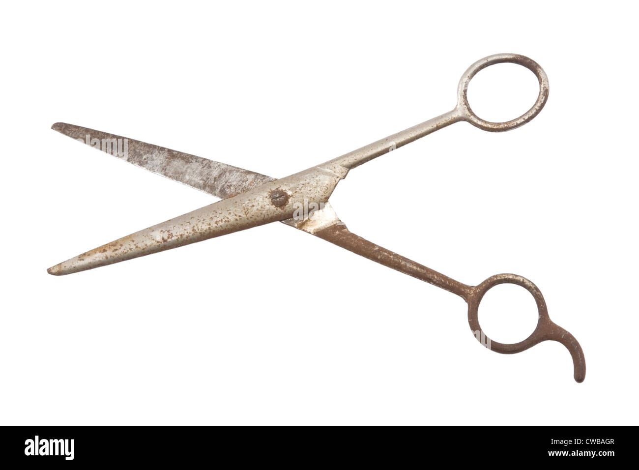 Old scissors on white background Stock Photo - Alamy