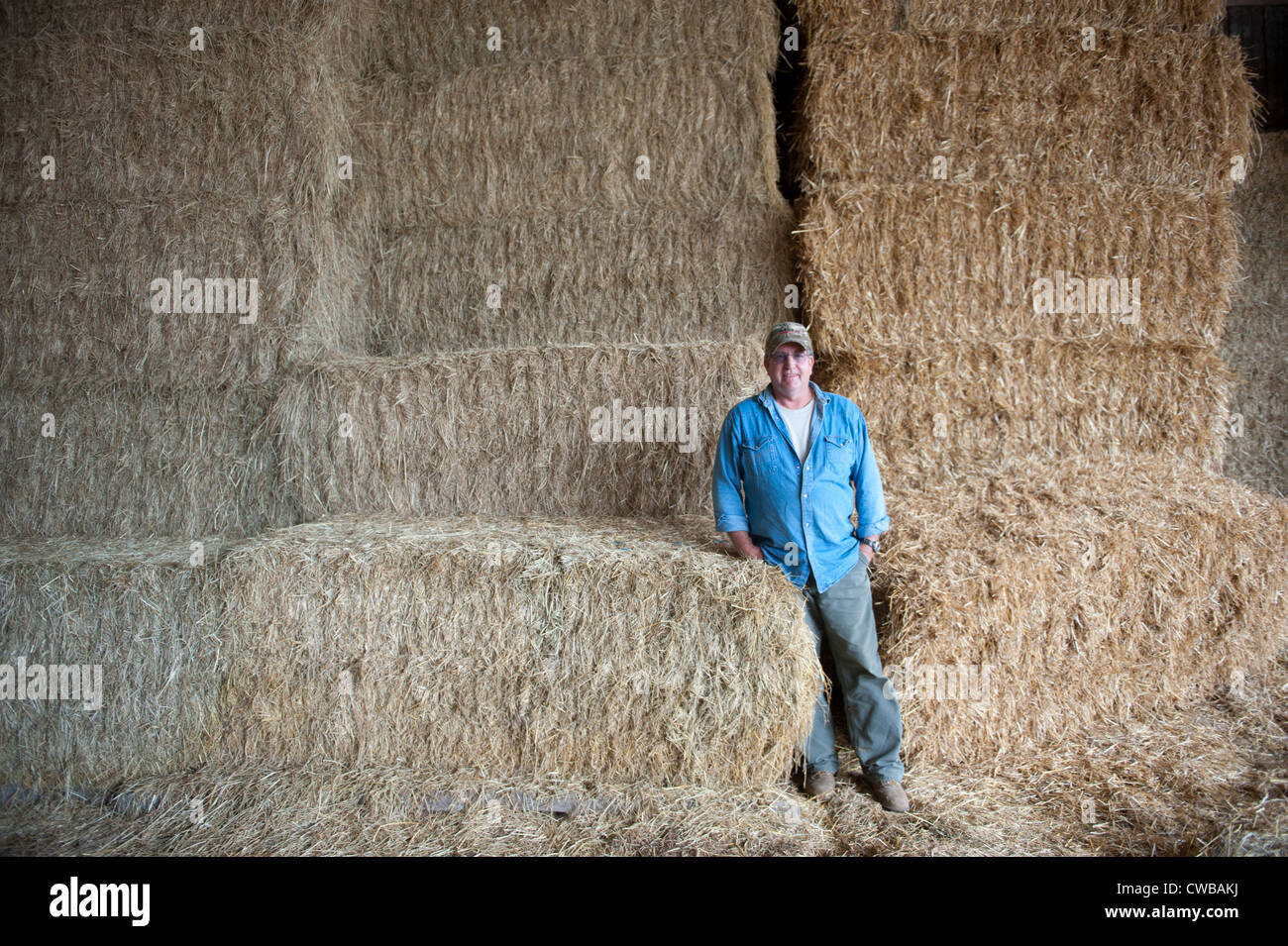 Farmer standing in front of stacked hay bales Stock Photo