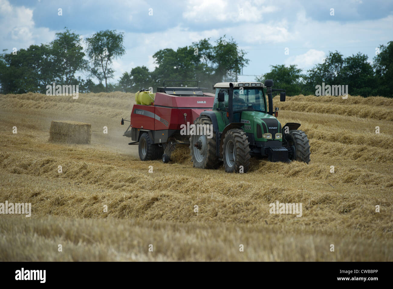 Grain Producer harvesting crop  Stock Photo
