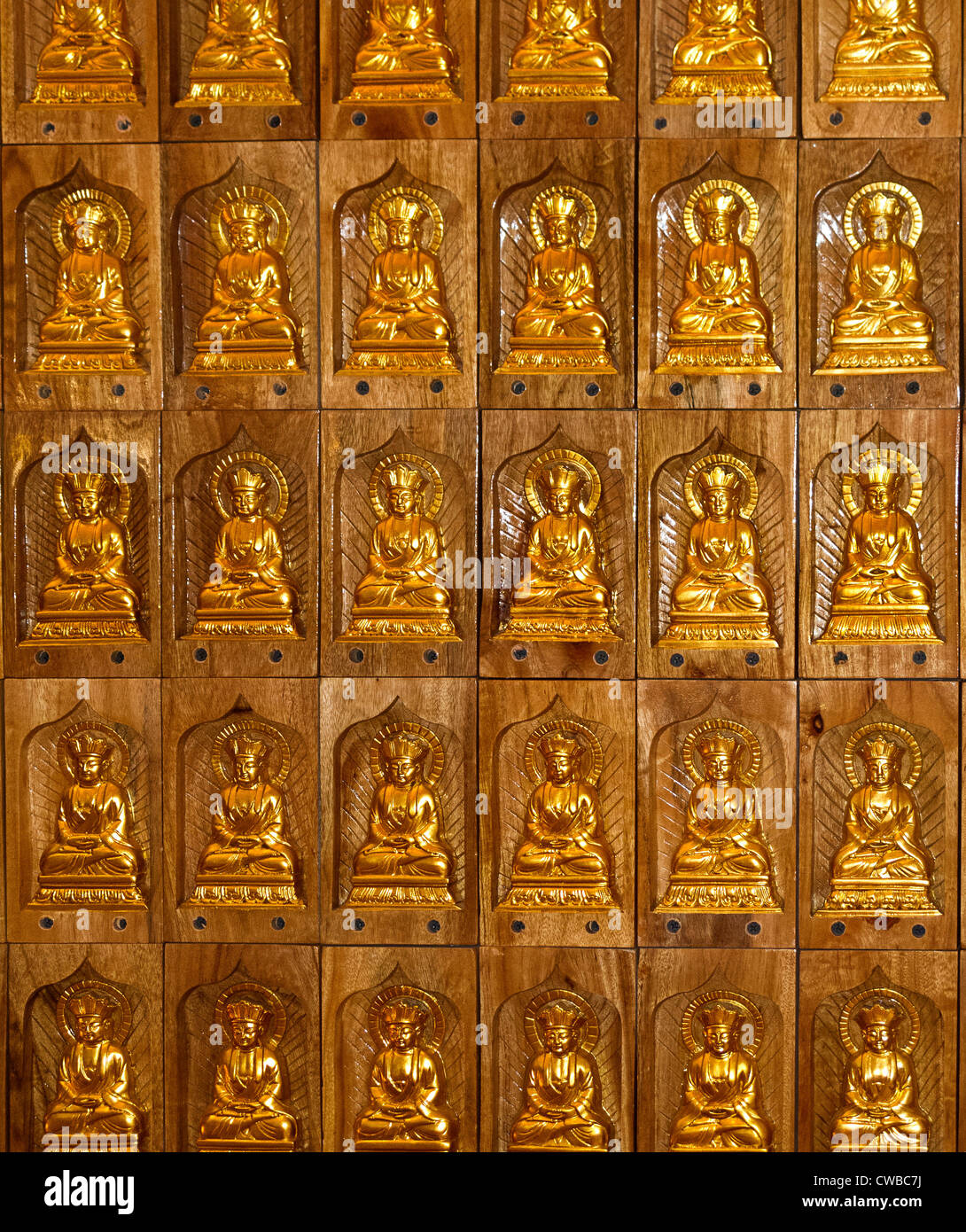 International Buddhist Temple in Richmond, BC, Canada. Multiple Buddha