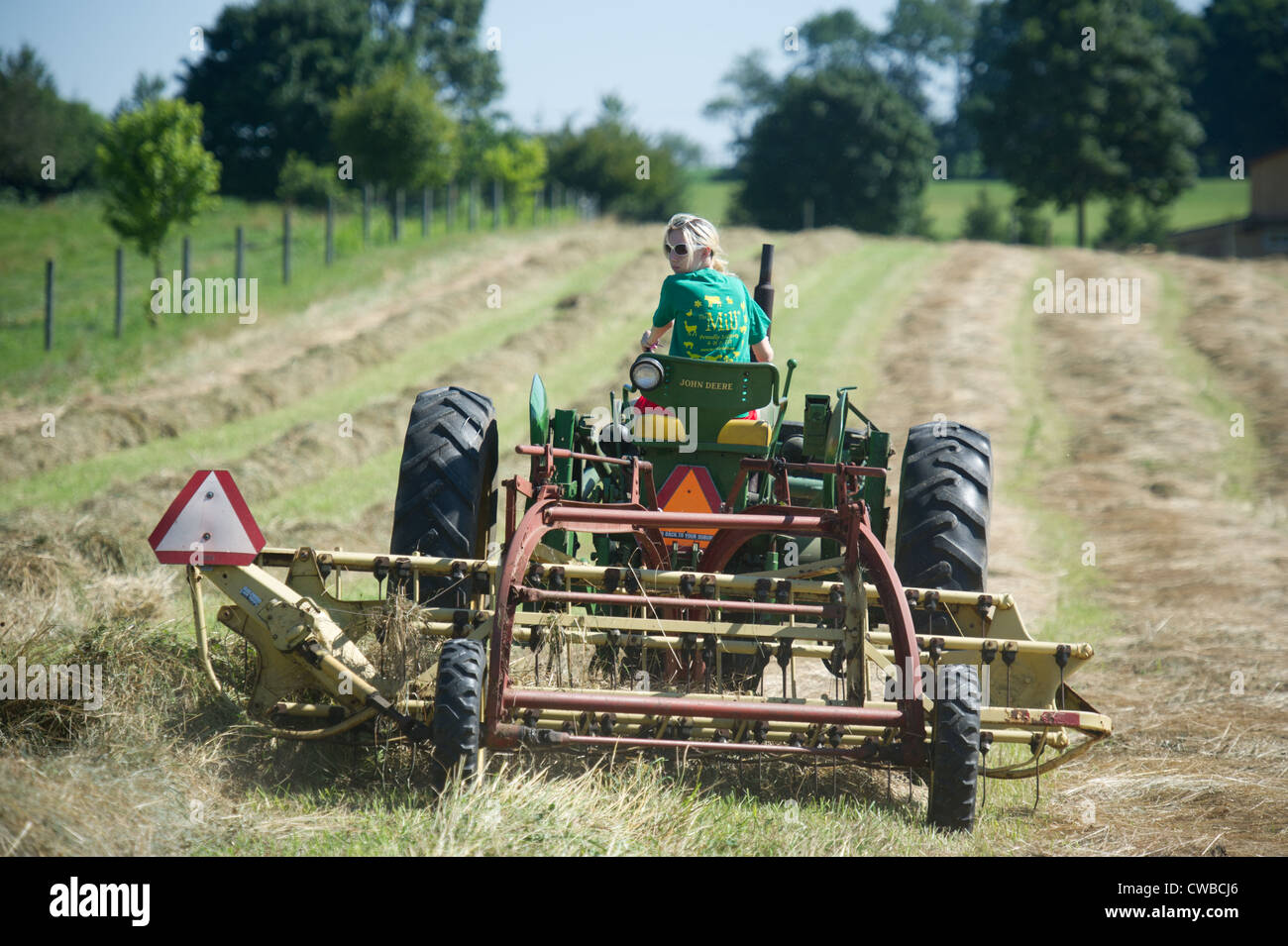 Teenage girl raking hay with John Deere model 50 tractor and New Holland bar rake Stock Photo