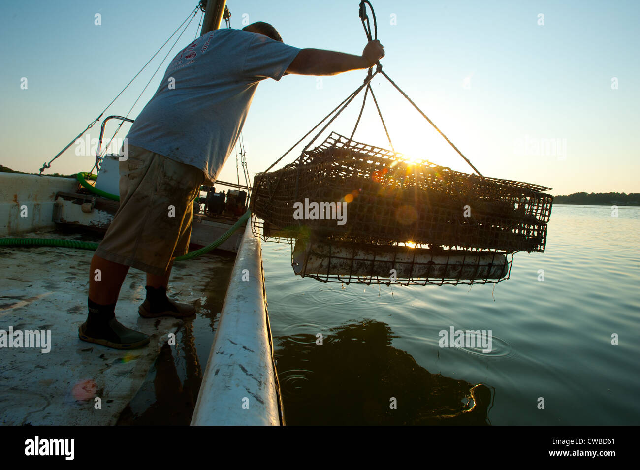Oysterer dredging on oyster farm in Bayford VA Stock Photo Alamy