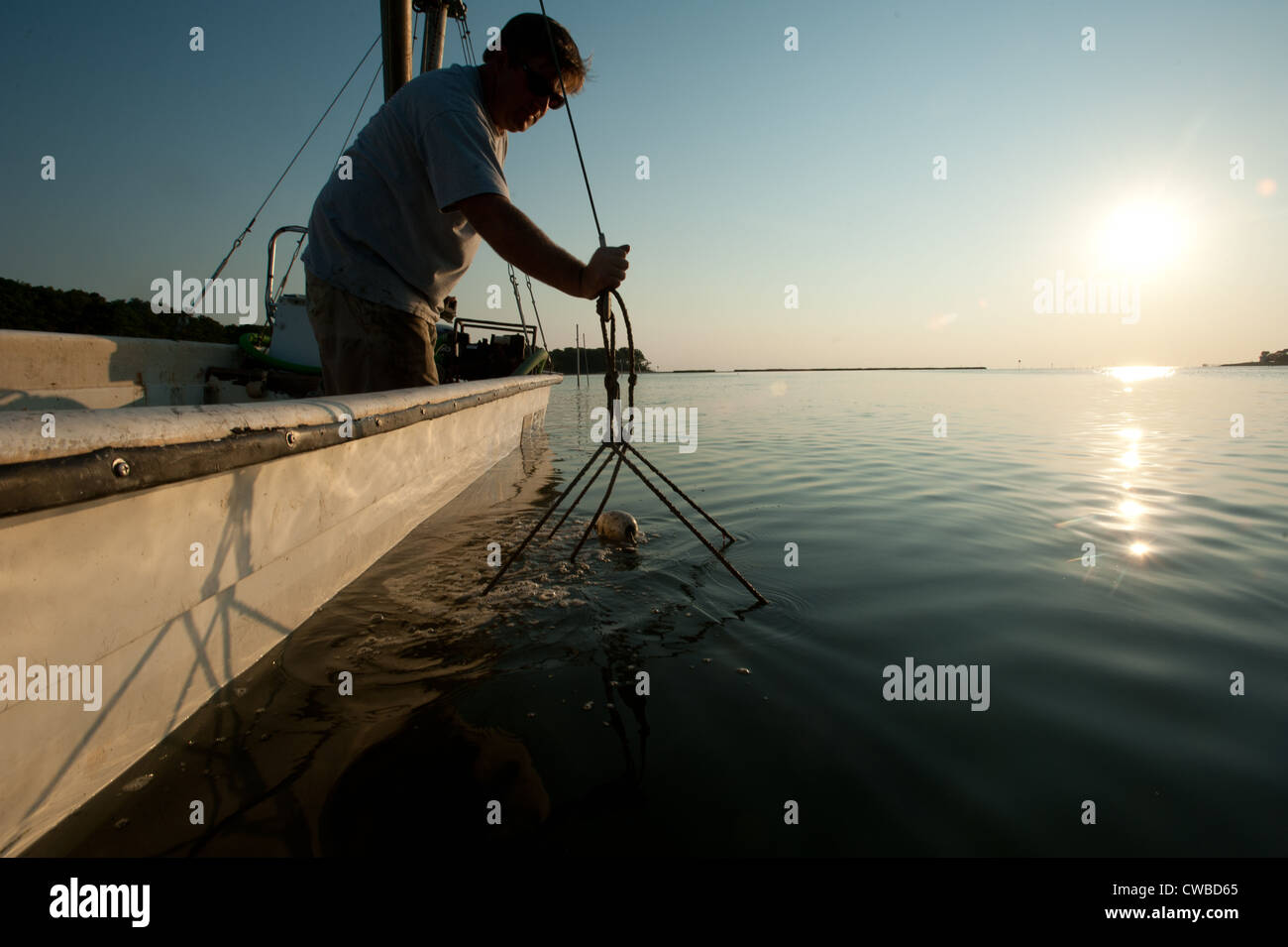 Oyster dredging hires stock photography and images Alamy