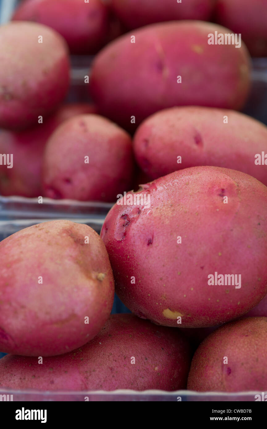 Eastern Shore Virginia potatoes at a farmer's market Stock Photo
