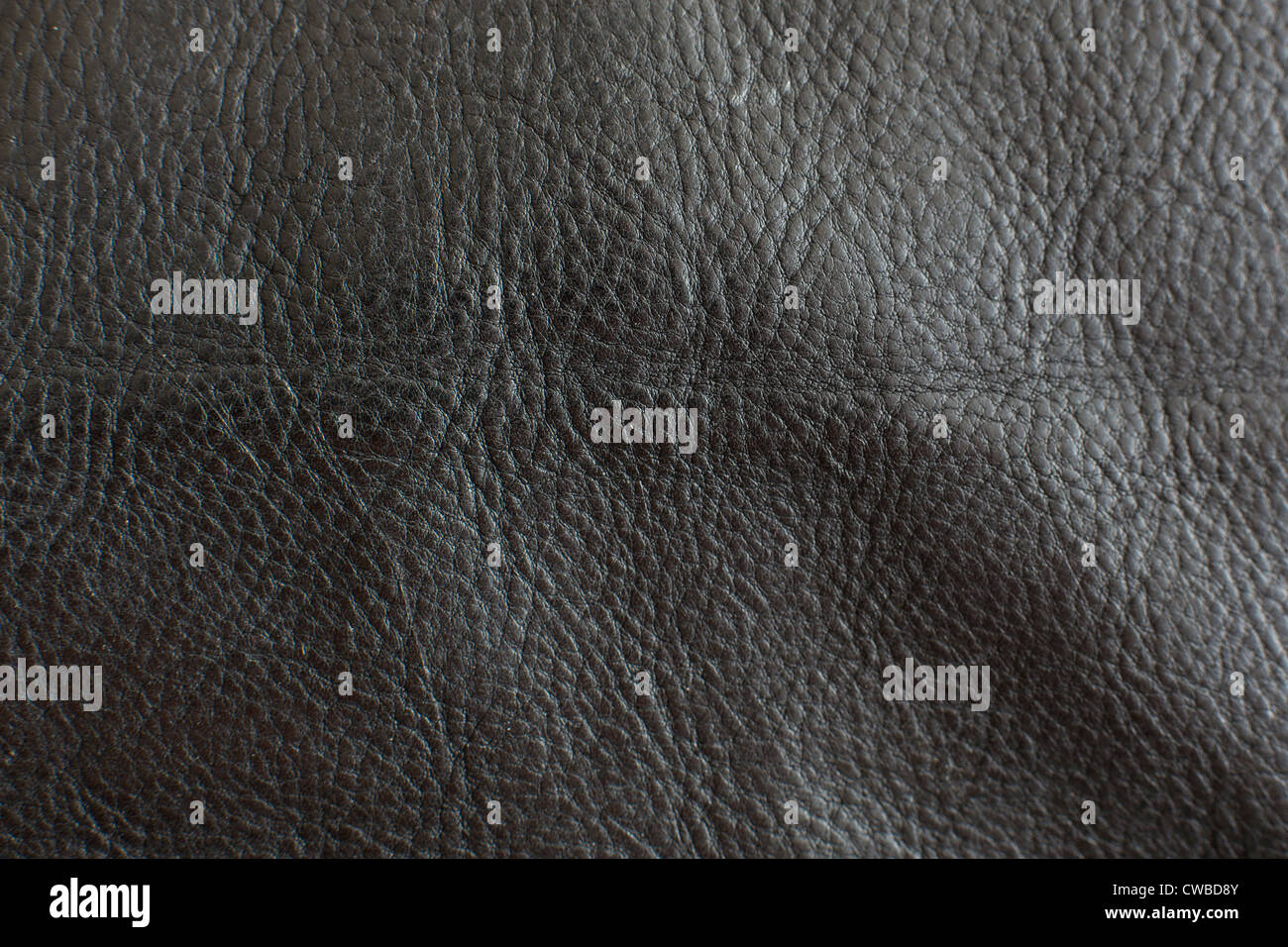 Texture of a leather Stock Photo