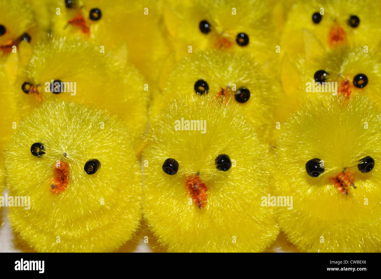 Small yellow chicks used for decoration Stock Photo Alamy
