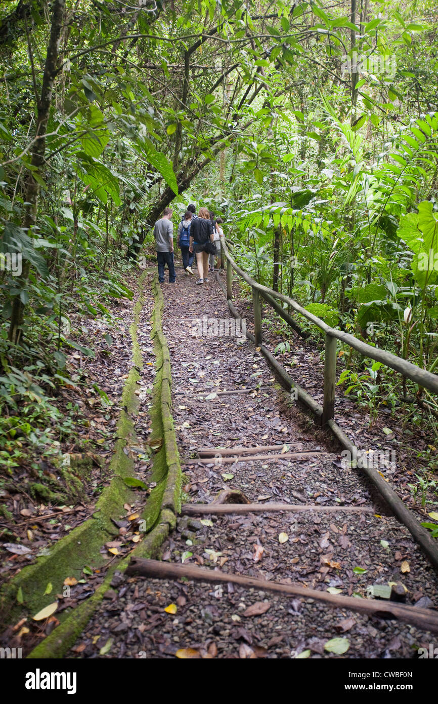 Students walking along Los Monticulos trail in Monumento Nacional Guayabo near Turrialba, Cartago, Costa Rica, Central America. Stock Photo