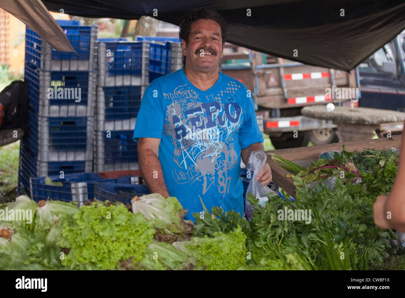 Vegetable vendor at farmer's market, Turrialba, Cartago, Costa Rica, Central America Stock Photo