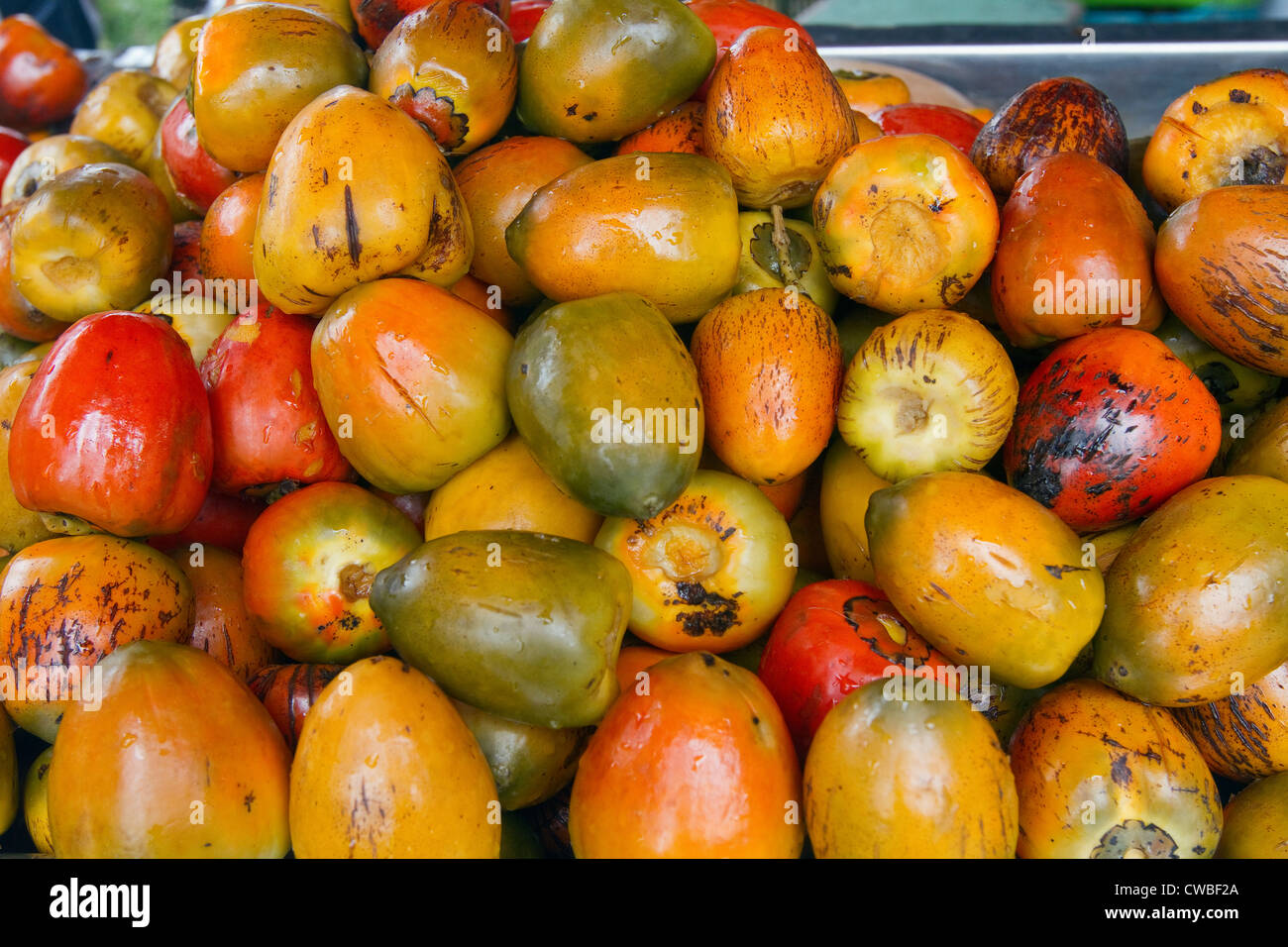 Mountain of pejiballe, aka pejibaye, peach palm fruit at farmer's market in Turrialba, Cartago, Costa Rica, Central America. Stock Photo