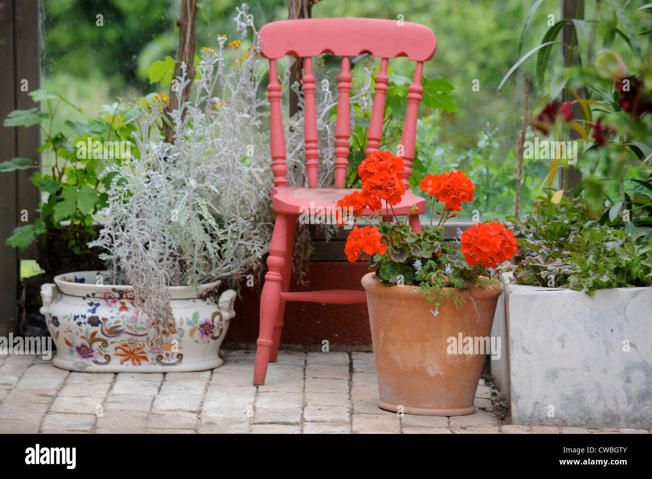 A potted geranium and red wooden chair in a conservatory UK Stock Photo
