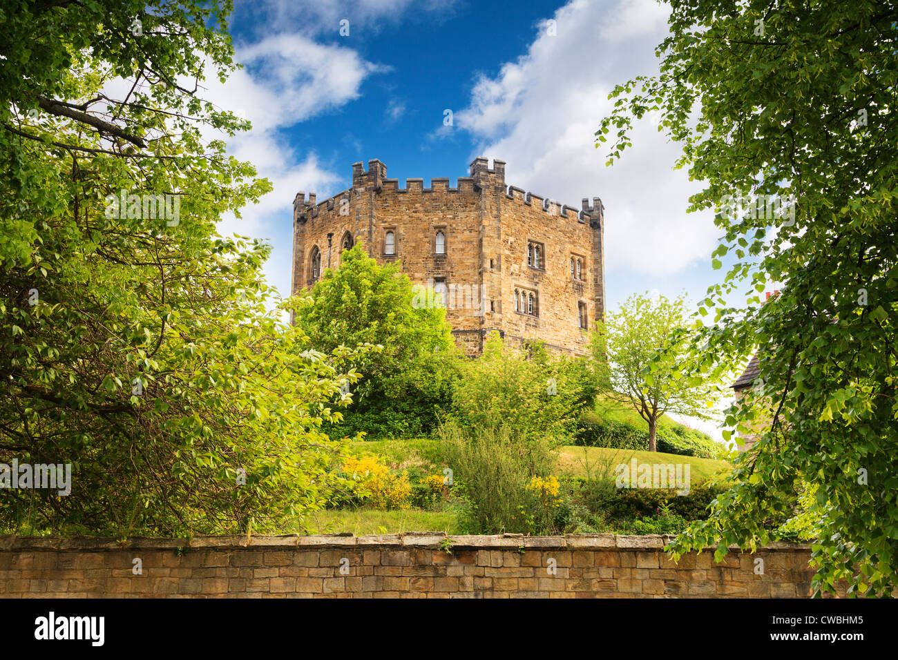 The keep of Durham Castle seen through trees. Stock Photo