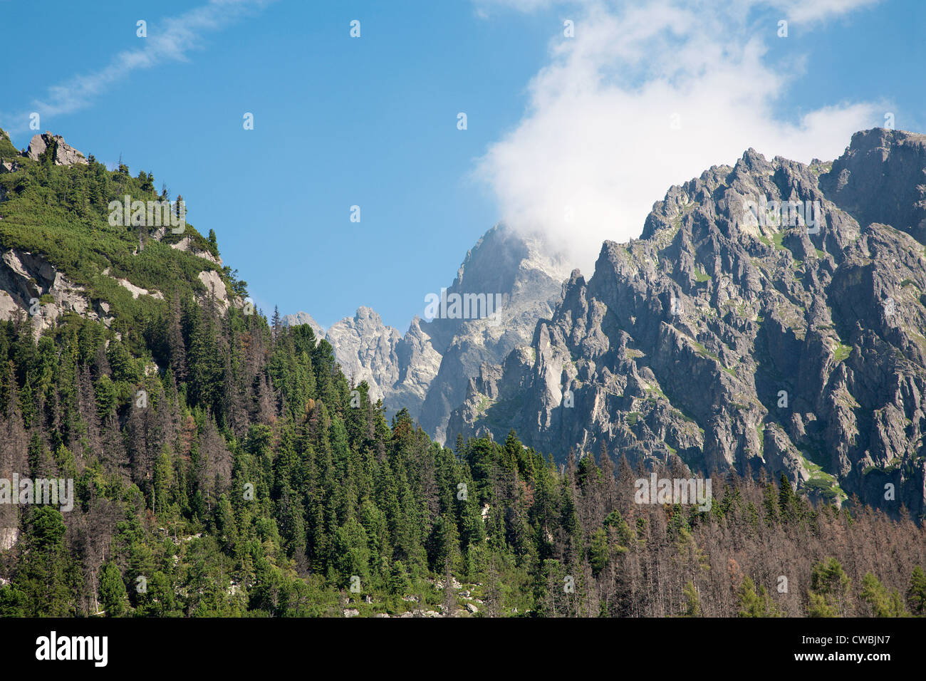 High Tatras - Lomnicky peak from Hrebienok Stock Photo