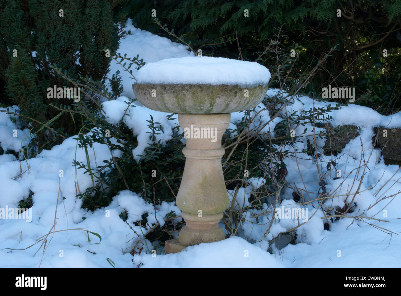 Snow covered stone bird bath in garden Stock Photo