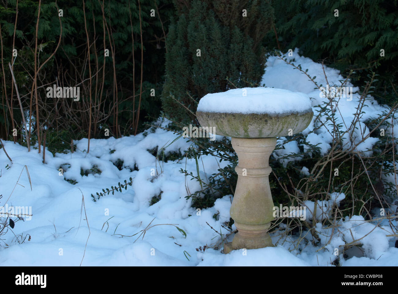 Snow covered stone bird bath in garden Stock Photo