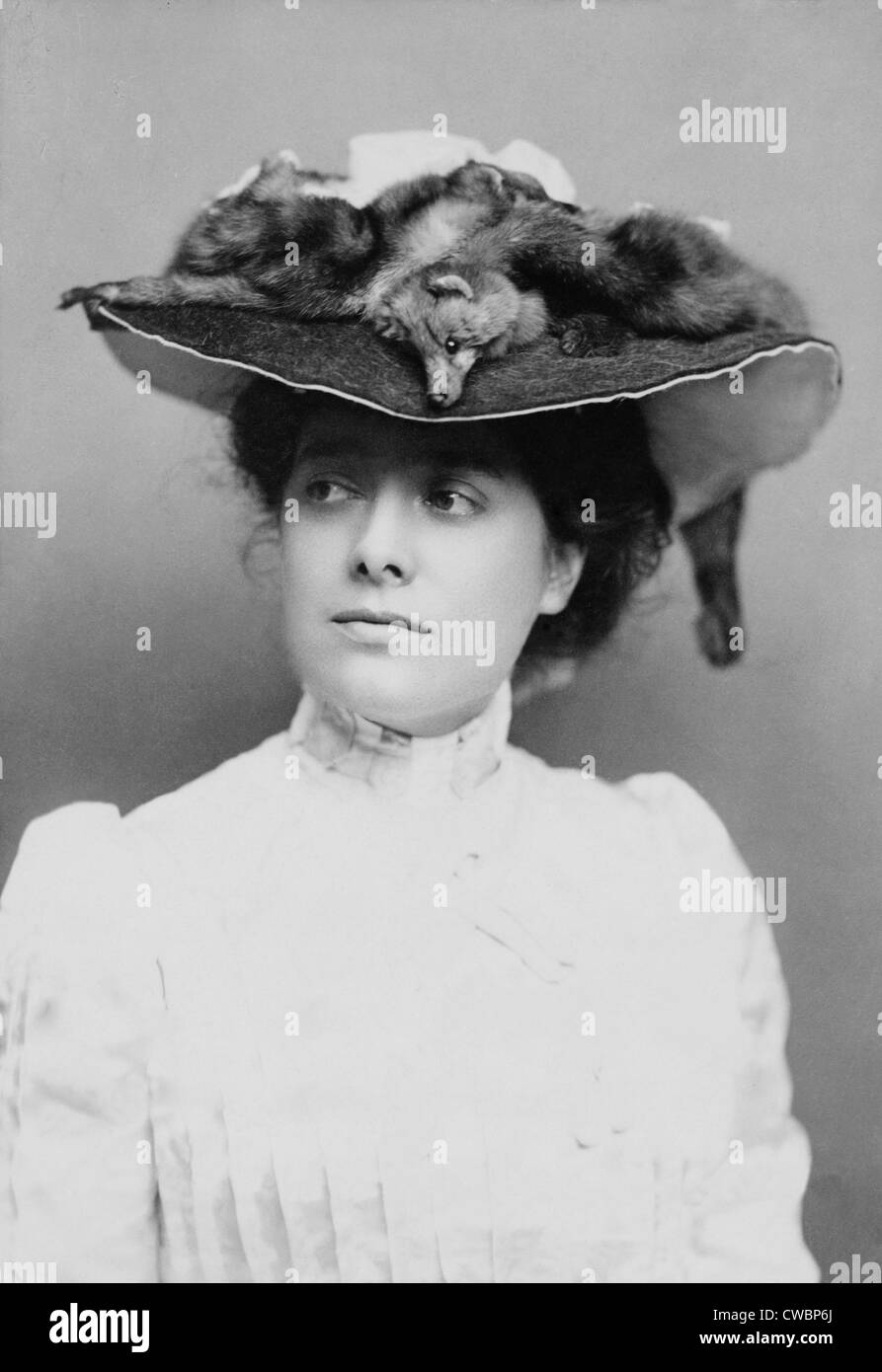 British actress 1950 hi-res stock photography and images - Alamy, image size:893x1390