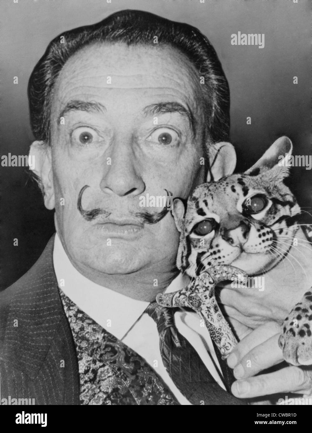 Salvadore Dali (1904-1989), eccentric Spanish Surrealist painter with his pet ocelot, a wild cat native to South and Central Stock Photo