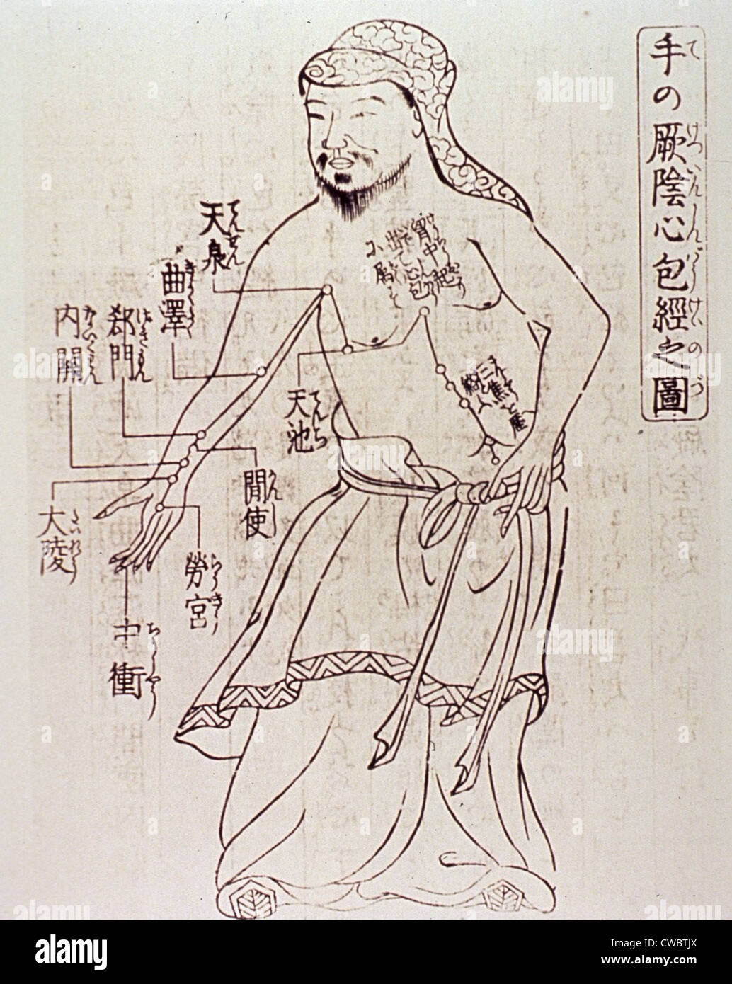 Acupuncture points on the torso and arm of the human body. Acupuncture