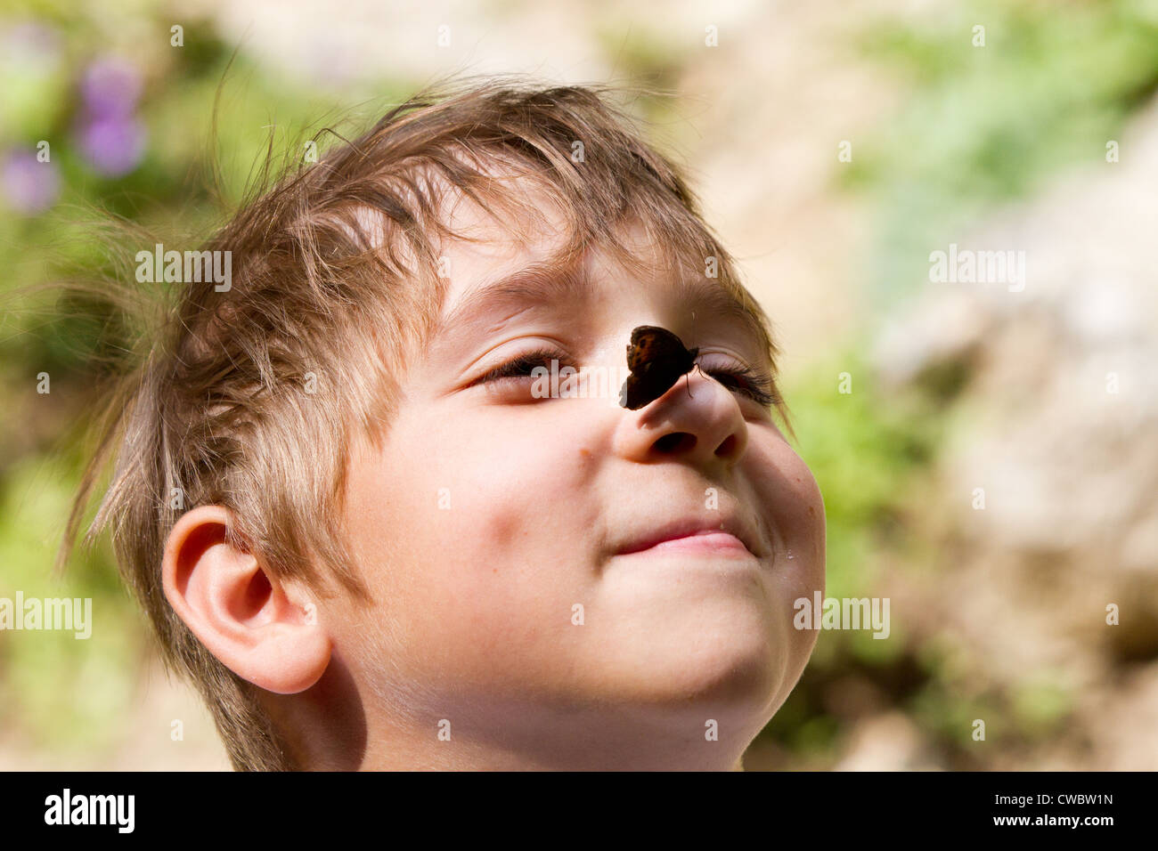 Young boy smiling with butterfly on his nose in summer Stock Photo - Alamy